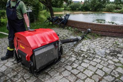 Schenkendoebern-Pinnow: Waldbrand vernichtet mehrere Quadratmeter Wald - Foerster entdeckt Brand gluecklicherweise